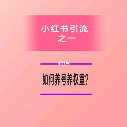 小红书怎么引流