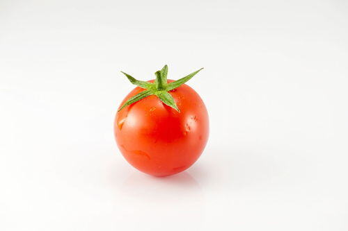 番茄小说如何写小说赚钱