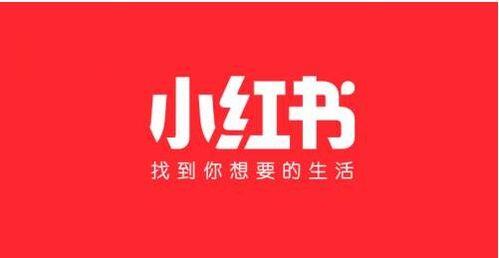 小红书粉丝不到500怎么推广