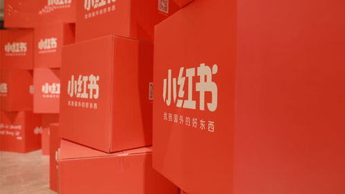小红书在线官网入口