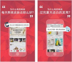 小红书入驻条件及费用