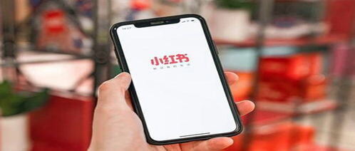 小红书短视频怎么赚钱