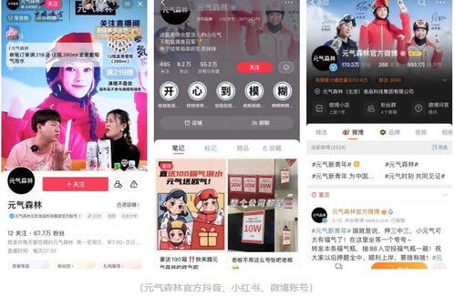元气森林在小红书怎么推广的