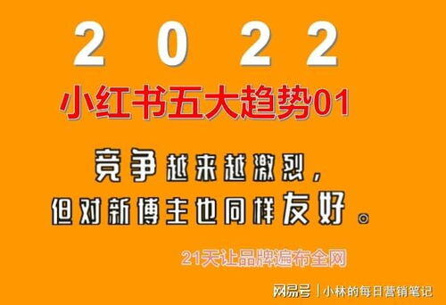 小红书合作伙伴平台