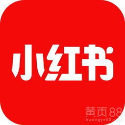 小红书怎么投放广告