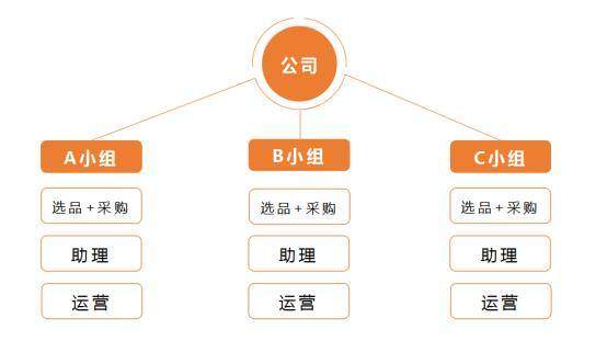 跨境电商运营助理