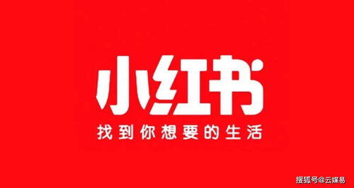 小红书区域代理