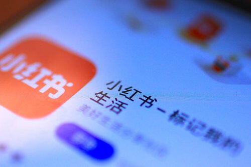 小红书蒲公英内容合作