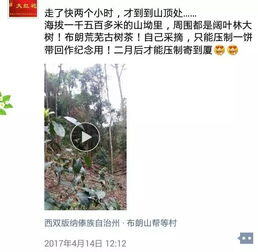 卖茶叶一个月能赚多少钱