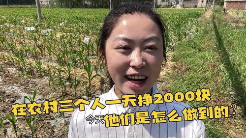 求一天挣2000的门路