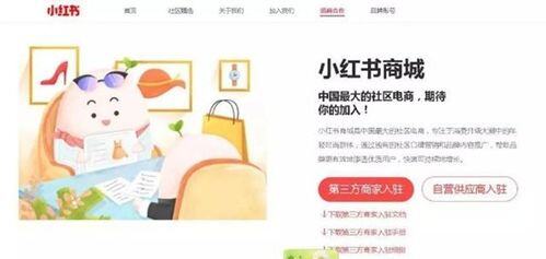 小红书怎么引流