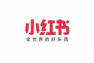 小红书开店要钱吗