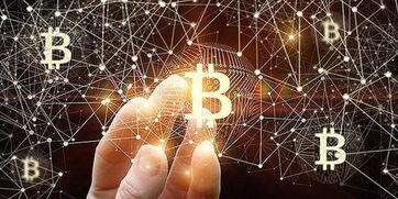 项目里poc是什么意思