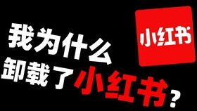 小红书怎么做自媒体赚钱