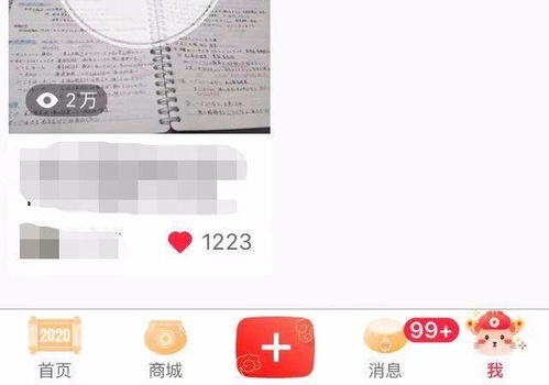 小红书发内容有收益吗