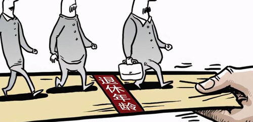退休后适合做什么工作女性