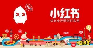 小红书活粉在哪里买