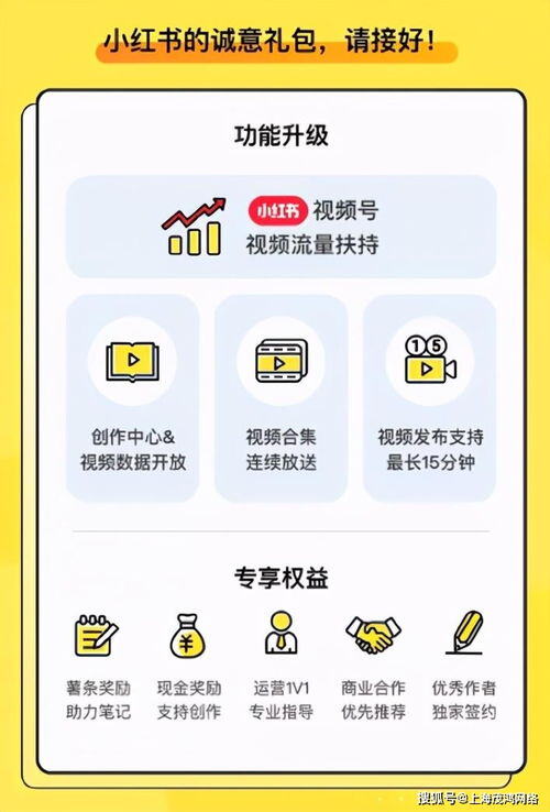 小红书怎么获得视频号认证