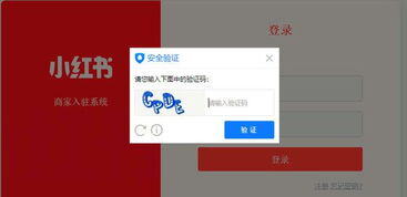 小红书上开店需要什么条件