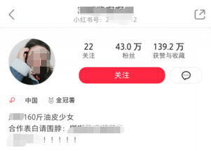 小红书1000粉丝收入