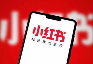 小红书怎么花钱推广