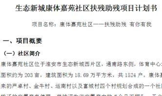 助残项目计划书