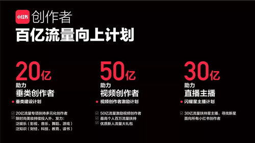 小红书是什么类型的平台