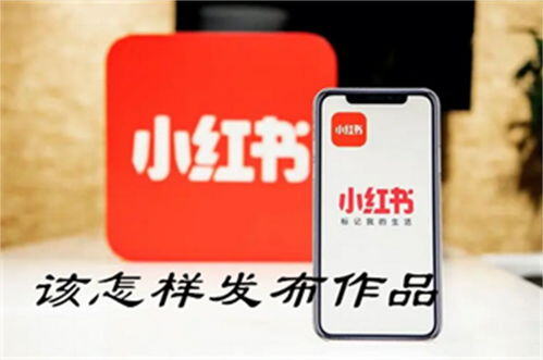 小红书怎么开店