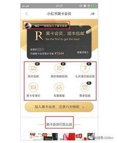 小红书怎么推广微信号