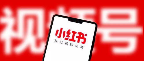 小红书怎么获得视频号认证