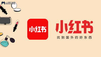 小红书怎么把自己的笔记加到专辑