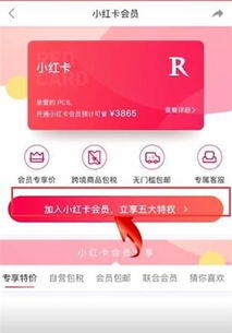 小红书怎么开通蒲公英平台