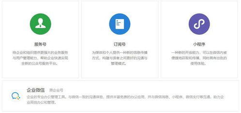 zm是什么意思赚钱路子