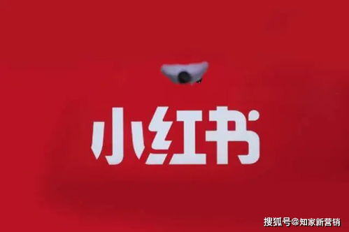 小红书推广引流收费