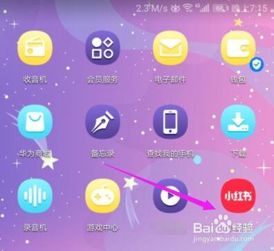 小红书怎么开通蒲公英平台