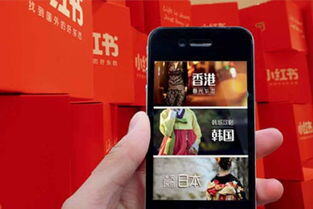 小红书粉丝不到500怎么推广