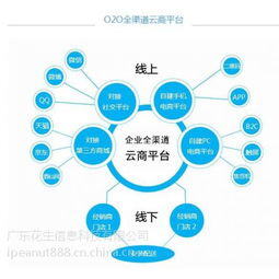全球b2c电商发展第二快的市场是