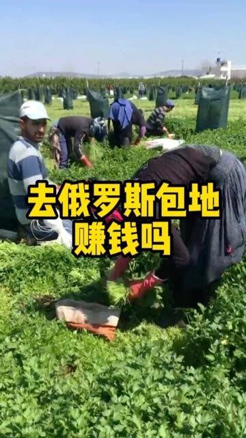 去俄罗斯包地能赚钱吗