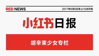 小红书是哪家公司的