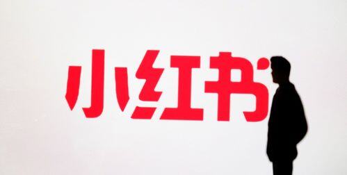 小红书最大的股东是谁