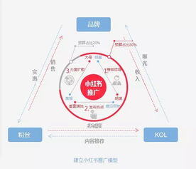 小红书运营流程