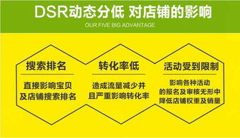 dsr电商是什么意思