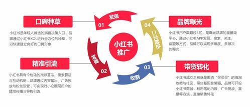 小红书怎么推广微信号