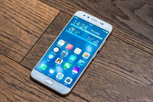 vivo13手机多少钱