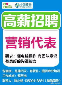 网店运营助理