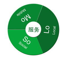 solomo营销模式