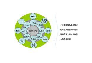 vtn营销模式