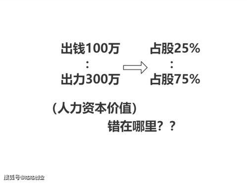 一人出钱一人出力的最佳合作方法