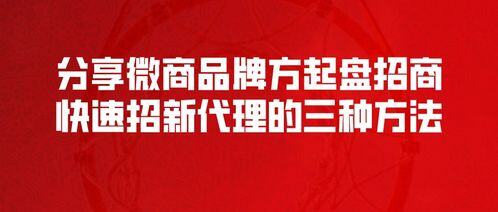 新项目加盟代理招募方案