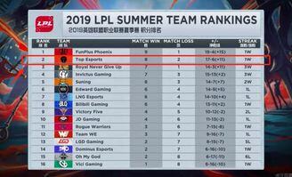 k9都玩些什么项目